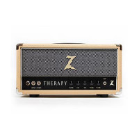 Dr Z Therapy Amp